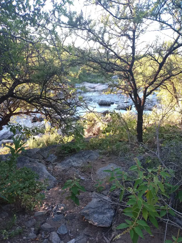El río asomando entre el monte